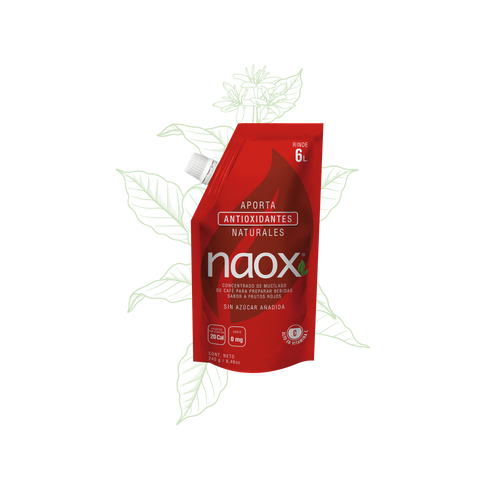Naox Doy pack Sabor Frutos Rojos 240 gr
